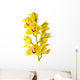 Yellow Orchid Isolated Wall Decal