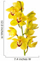 Yellow Orchid Isolated Wall Decal