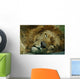 Sleeping Lion Wall Mural