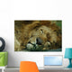 Sleeping Lion Wall Mural