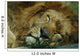 Sleeping Lion Wall Mural