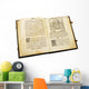 The ancient book Wall Mural