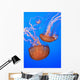 Sea Nettles In Monterey Bay Aquarium Display Wall Mural