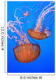 Sea Nettles In Monterey Bay Aquarium Display Wall Mural
