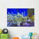 Leafy seadragon Wall Mural