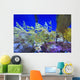 Leafy seadragon Wall Mural
