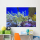 Leafy seadragon Wall Mural