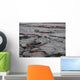 Plaques Basalte Et Lac Wall Decal