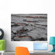 Plaques Basalte Et Lac Wall Decal