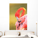 Caribbean Flamingo At The San Diego Zoo Wall Mural