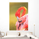 Caribbean Flamingo At The San Diego Zoo Wall Mural