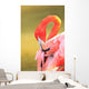 Caribbean Flamingo At The San Diego Zoo Wall Mural