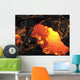 Coulee Lave Wall Decal