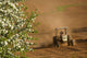Apple Blossoms And Farmer Wall Mural