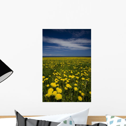 Dandelions, Near Howards Cove, Prince Edward Island Wall Mural