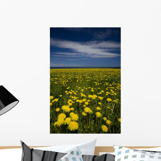 Dandelions, Near Howards Cove, Prince Edward Island Wall Mural