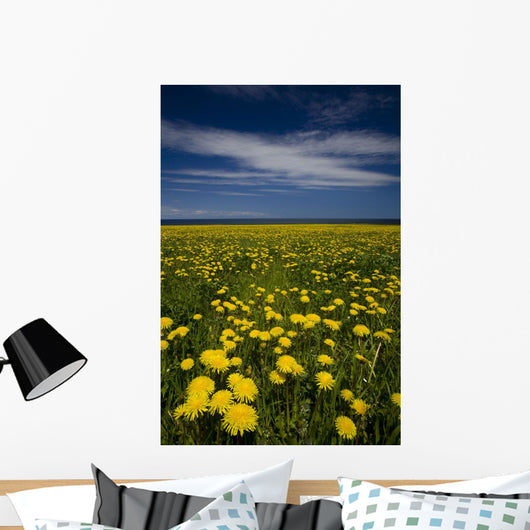 Dandelions, Near Howards Cove, Prince Edward Island Wall Mural