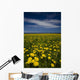 Dandelions, Near Howards Cove, Prince Edward Island Wall Mural