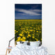 Dandelions, Near Howards Cove, Prince Edward Island Wall Mural