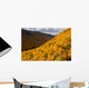 Autumn Colours At North Mountain Look-Off Wall Mural