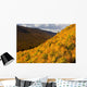 Autumn Colours At North Mountain Look-Off Wall Mural