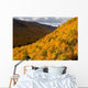 Autumn Colours At North Mountain Look-Off Wall Mural
