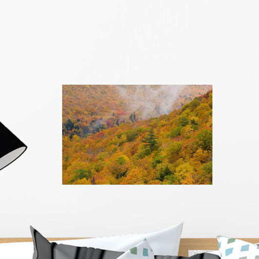 View From North Mountain Look-Off In Autumn Wall Mural