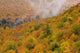 View From North Mountain Look-Off In Autumn Wall Mural