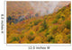 View From North Mountain Look-Off In Autumn Wall Mural