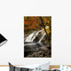 Mary Ann Falls In Autumn Wall Mural