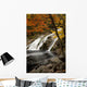 Mary Ann Falls In Autumn Wall Mural