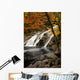 Mary Ann Falls In Autumn Wall Mural