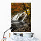 Mary Ann Falls In Autumn Wall Mural