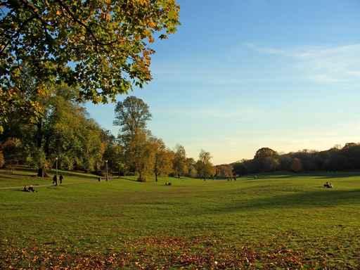 Prospect Park Wall Decal