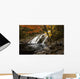Mary Ann Falls In Autumn Wall Mural