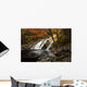 Mary Ann Falls In Autumn Wall Mural