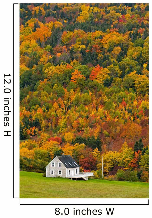 Cottage In Front Of Autumn Colours, Capstick, Cape Breton, Nova Scotia Wall Mural