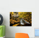 Beulach Ban Falls, Cape Breton Highlands National Park, Nova Scotia Wall Mural
