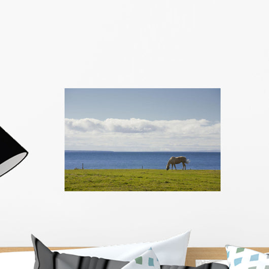 Horse In Field, Guernsey Cove, Prince Edward Island Wall Mural