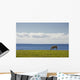 Horse In Field, Guernsey Cove, Prince Edward Island Wall Mural