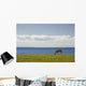 Horse In Field, Guernsey Cove, Prince Edward Island Wall Mural