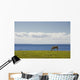 Horse In Field, Guernsey Cove, Prince Edward Island Wall Mural