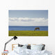 Horse In Field, Guernsey Cove, Prince Edward Island Wall Mural
