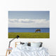 Horse In Field, Guernsey Cove, Prince Edward Island Wall Mural