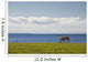 Horse In Field, Guernsey Cove, Prince Edward Island Wall Mural