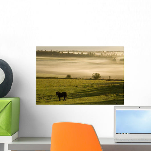Horses In The Morning Mist, North Wiltshire, Prince Edward Island Wall Mural