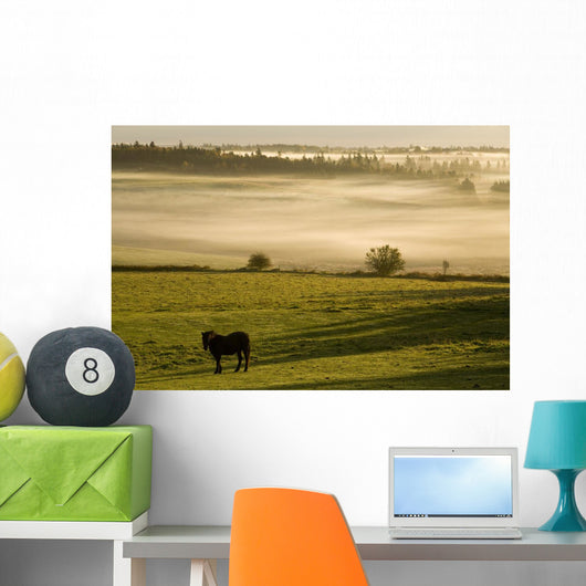 Horses In The Morning Mist, North Wiltshire, Prince Edward Island Wall Mural