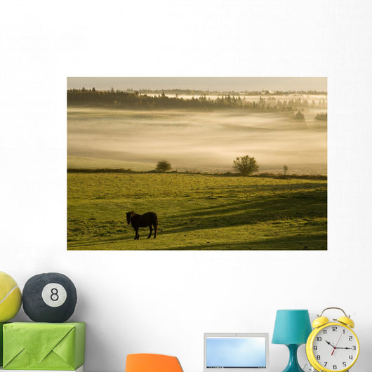 Horses In The Morning Mist, North Wiltshire, Prince Edward Island Wall Mural