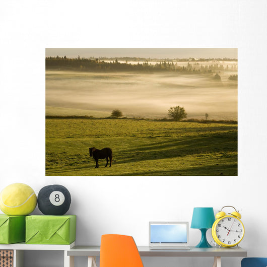 Horses In The Morning Mist, North Wiltshire, Prince Edward Island Wall Mural