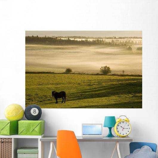 Horses In The Morning Mist, North Wiltshire, Prince Edward Island Wall Mural